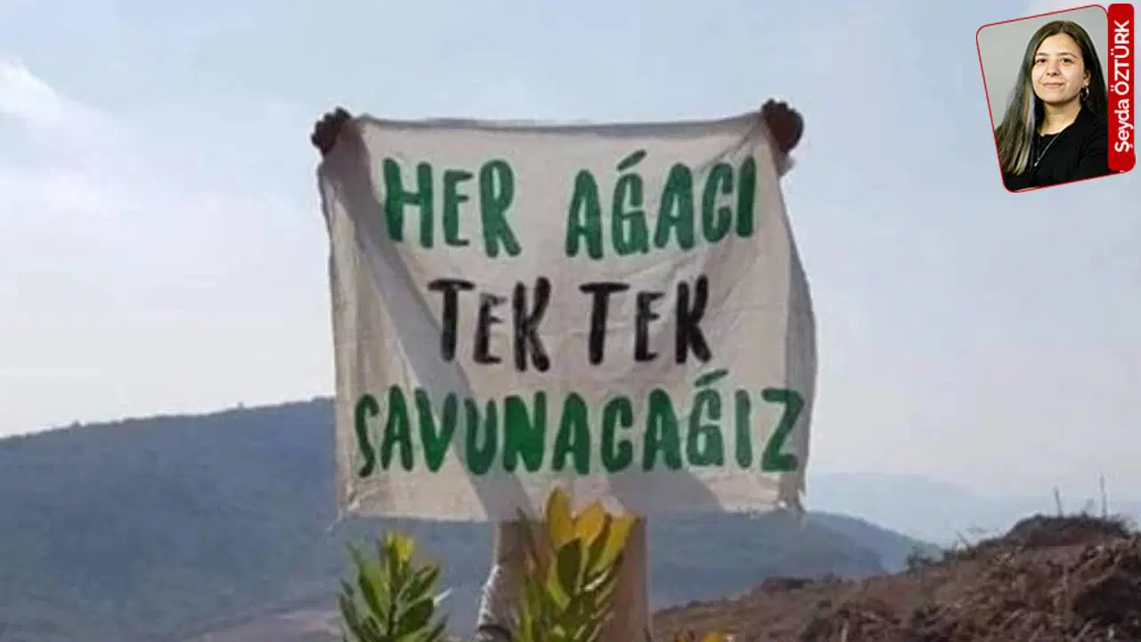 ‘Yeşil enerji’ RES uğruna 14 bin ağacın kesilmesine ilişkin son karar açıklandı: Enerji için ekokırım