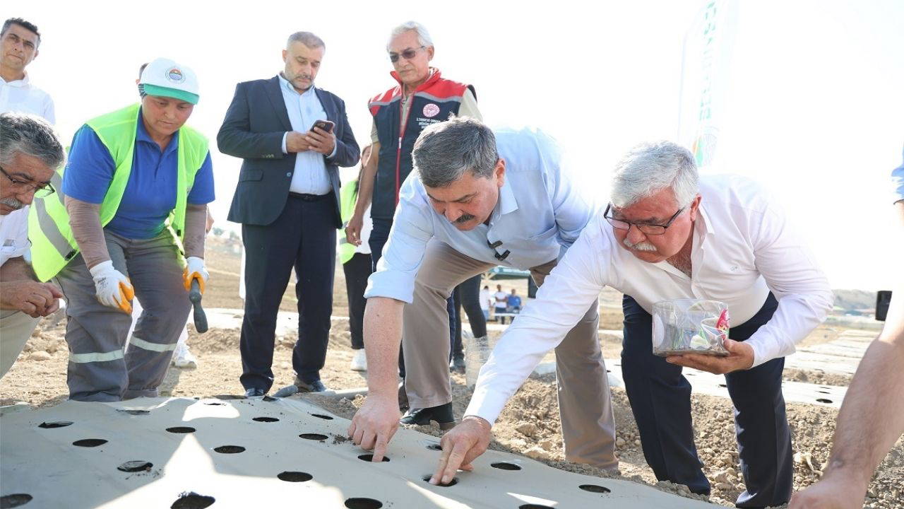 Toroslar’da yeni sezonun ilk salep yumruları toprakla buluştu