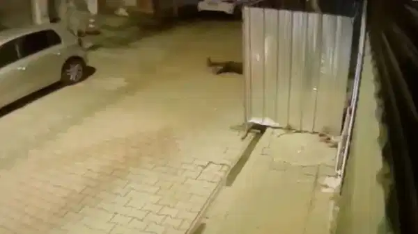 'Dur' ihtarına uymadı, bekçiye çarpıp kaçtı