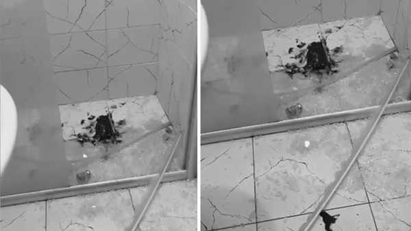 Artvin’de öğrenci yurdunda duşa kabin patladı: 'Kamu güvenliği ve malzeme seçimi ciddi şekilde sorgulanmalı!'