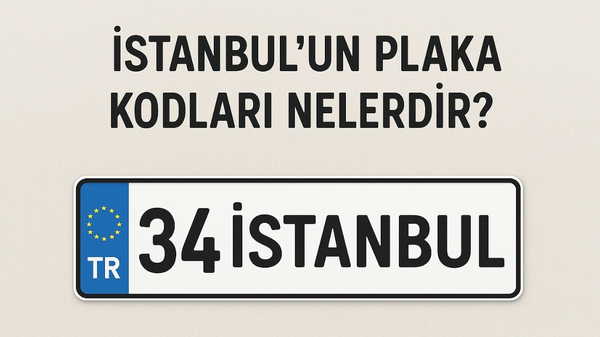 0e6d2ab1-7e7f-4c6c-8c20-bdc24a29d775.jpg