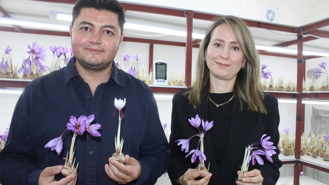 Kayseri'de 'yapamazsın' dediler, kapalı alanda ezber bozdular! Genç girişimcinin inadı servet kazandırdı...
