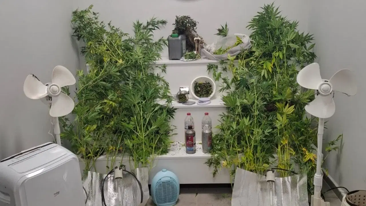 7 suçtan aranıyordu: Uyuşturucu yetiştirdiği evde yakalandı