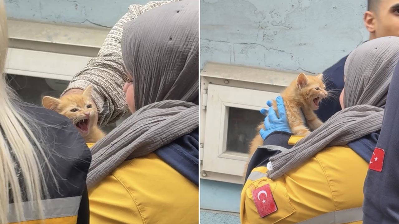 Kağıthane’de korkutan yangın: Yavru kediyi itfaiye kurtardı!