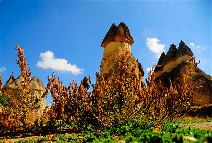 Sonbaharın büyüsünü keşfedin: Renk cümbüşüyle dolu en keyifli 6 sonbahar rotası