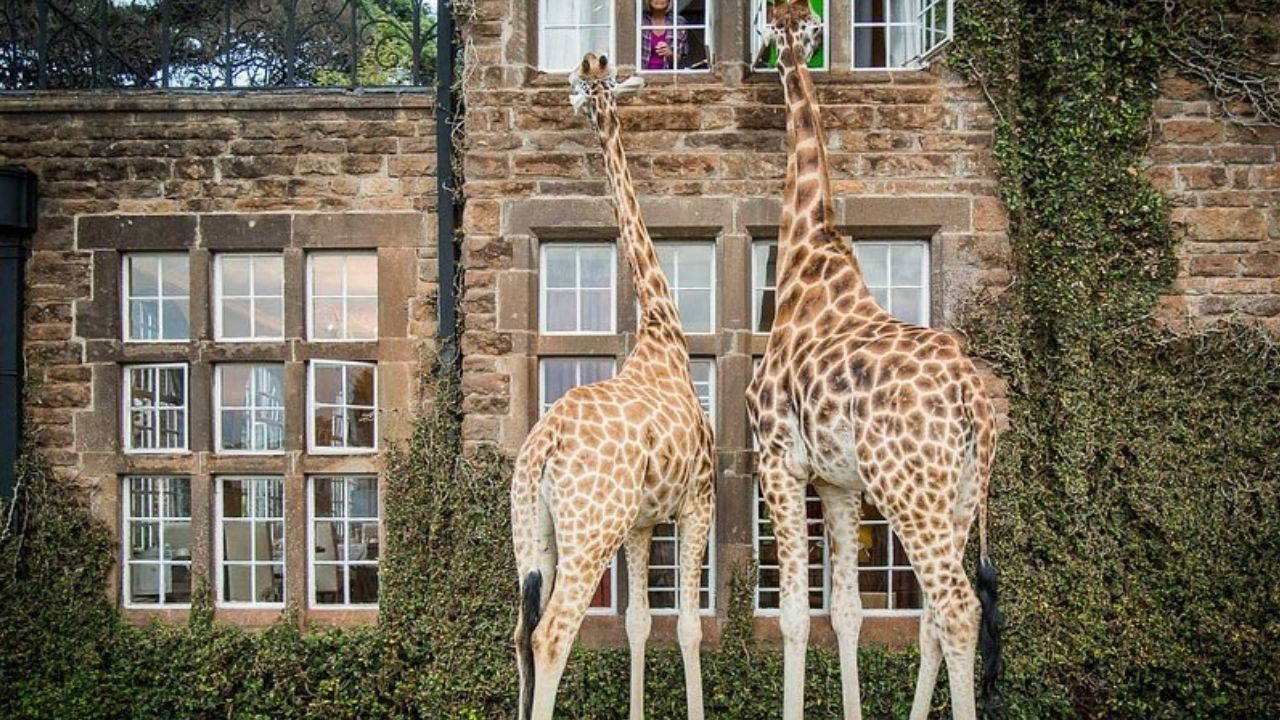 Bir tabak yemekten fazlası: Dünyanın en ilginç 7 restoranı