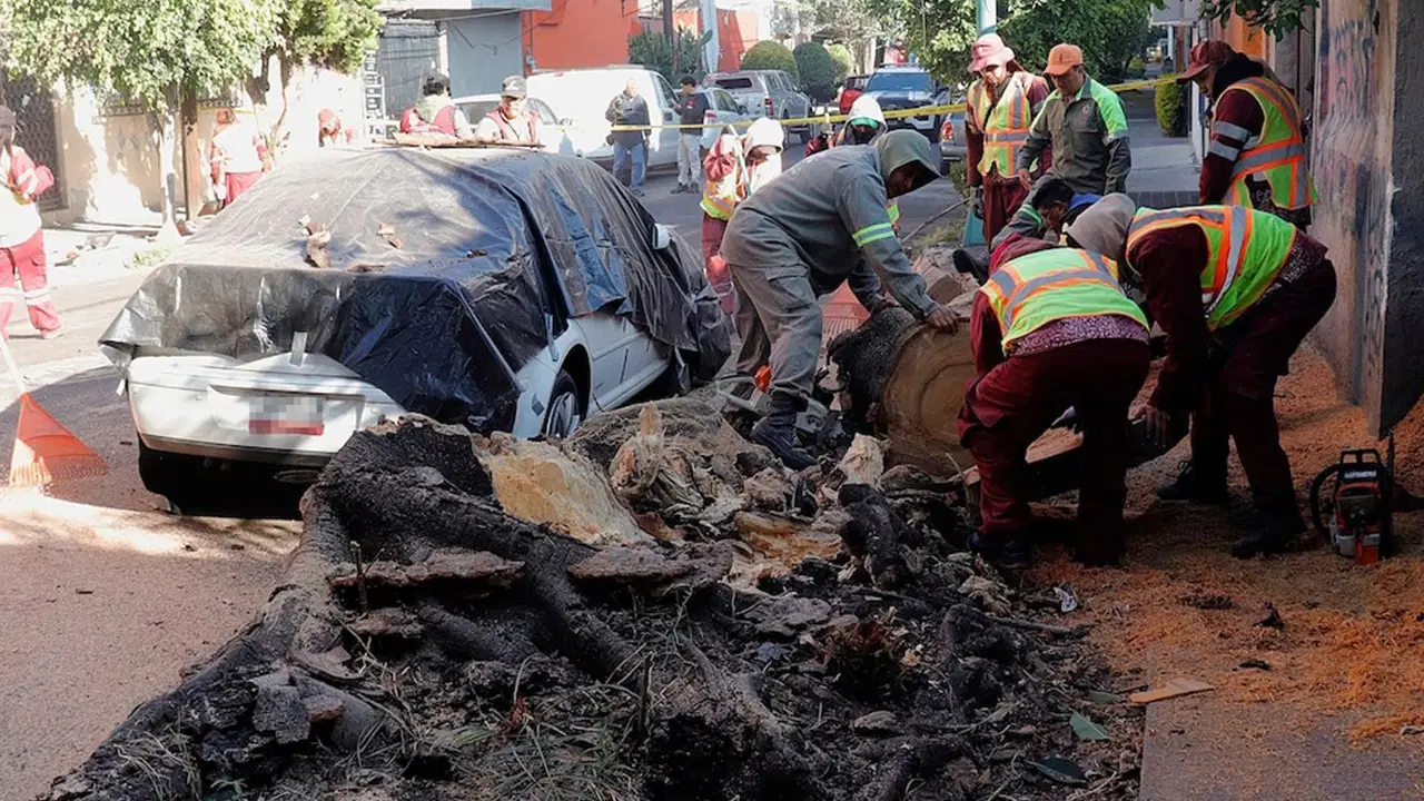 Meksika'da 6.5 büyüklüğünde deprem!