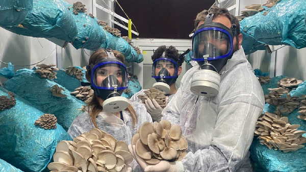 Genç avukat hobi olarak başladı, şimdi siparişlere yetişemiyor: Günde 1 ton hasat yapıyor...