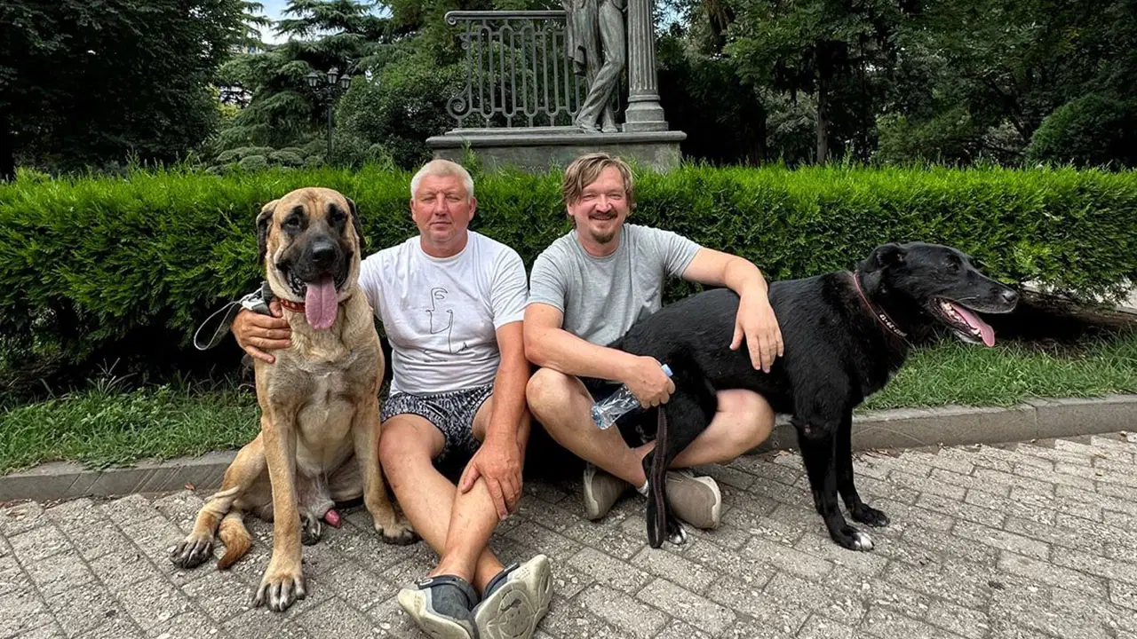 Rus aileden çağrı: Köpeklerini bulana 100 bin TL ödül