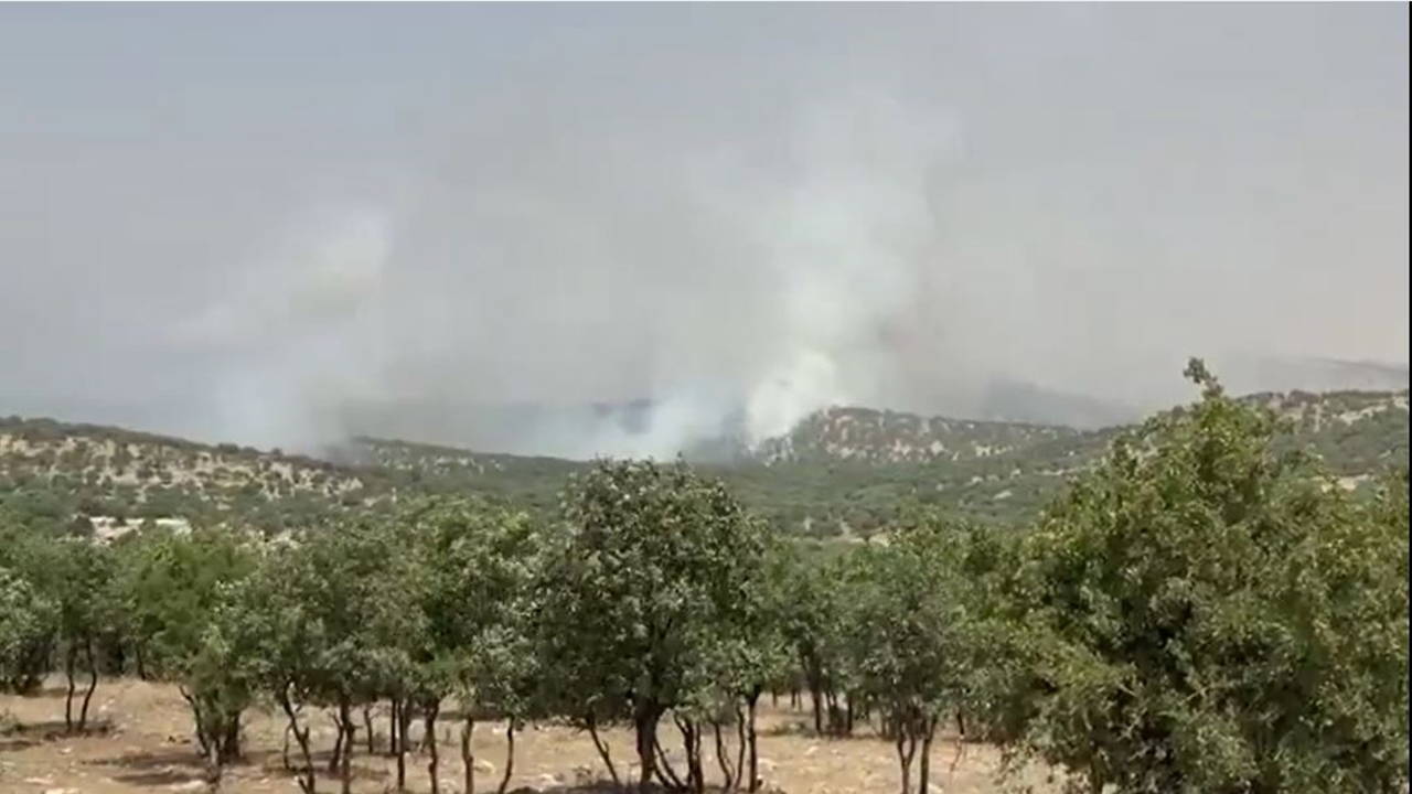 Mardin'de orman yangını!