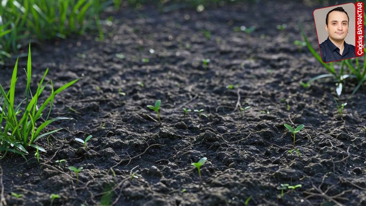 Verimli toprak, bilinçli üretim ve iklim kriziyle mücadele için: Onarıcı tarım