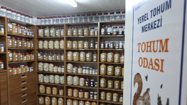 Muğla’nın ata tohumları 81 ilde toprakla buluşuyor