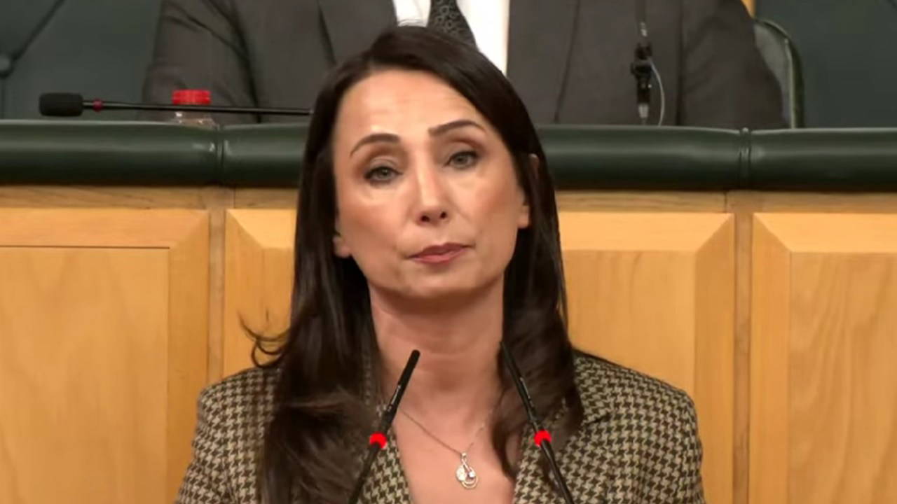 DEM Parti'den iktidara: 'Yargıyı siyasallaştıran düpedüz sizsiniz'