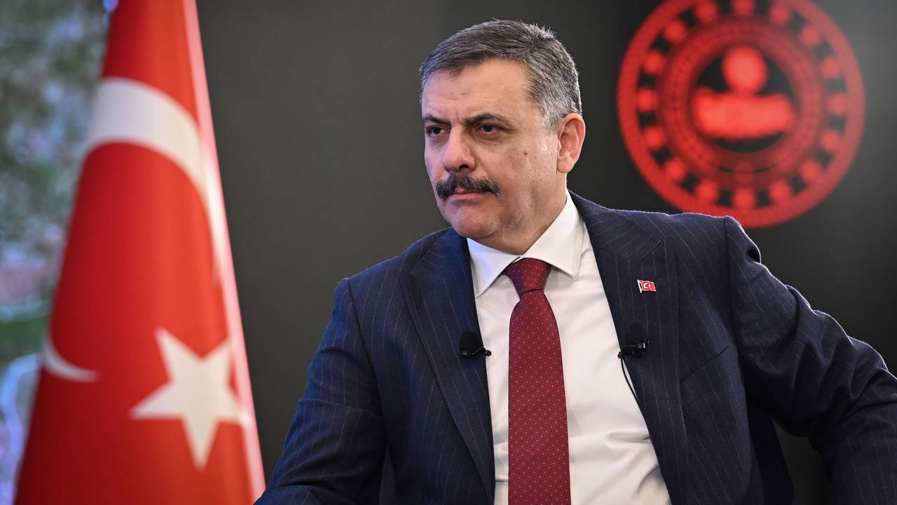 İçişleri Bakanı Çiftçi'den 'Nevruz' açıklaması: '209 kişi gözaltına alındı'