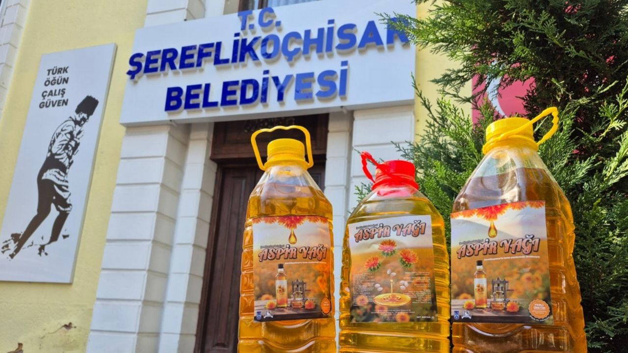 Tarlalardan sofralara “aspir yağı