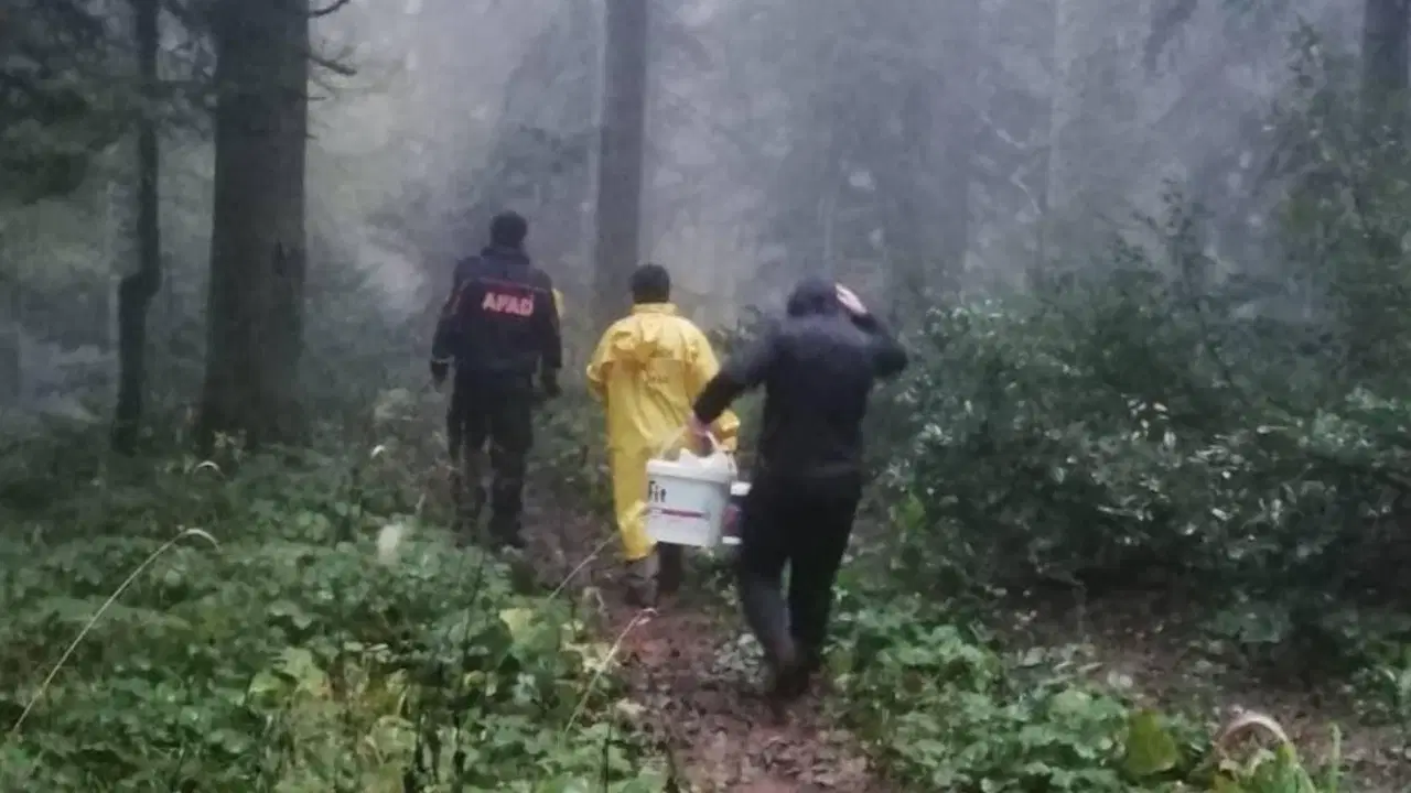 Mantar ararken ormanda kaybolan 2 kişi bulundu