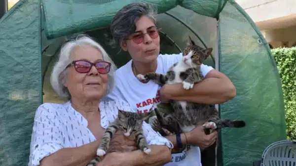 İzmir'de 6 milyonda 1 görülen olay: 'Erkek kedimiz 'Cengo' doğurdu!'
