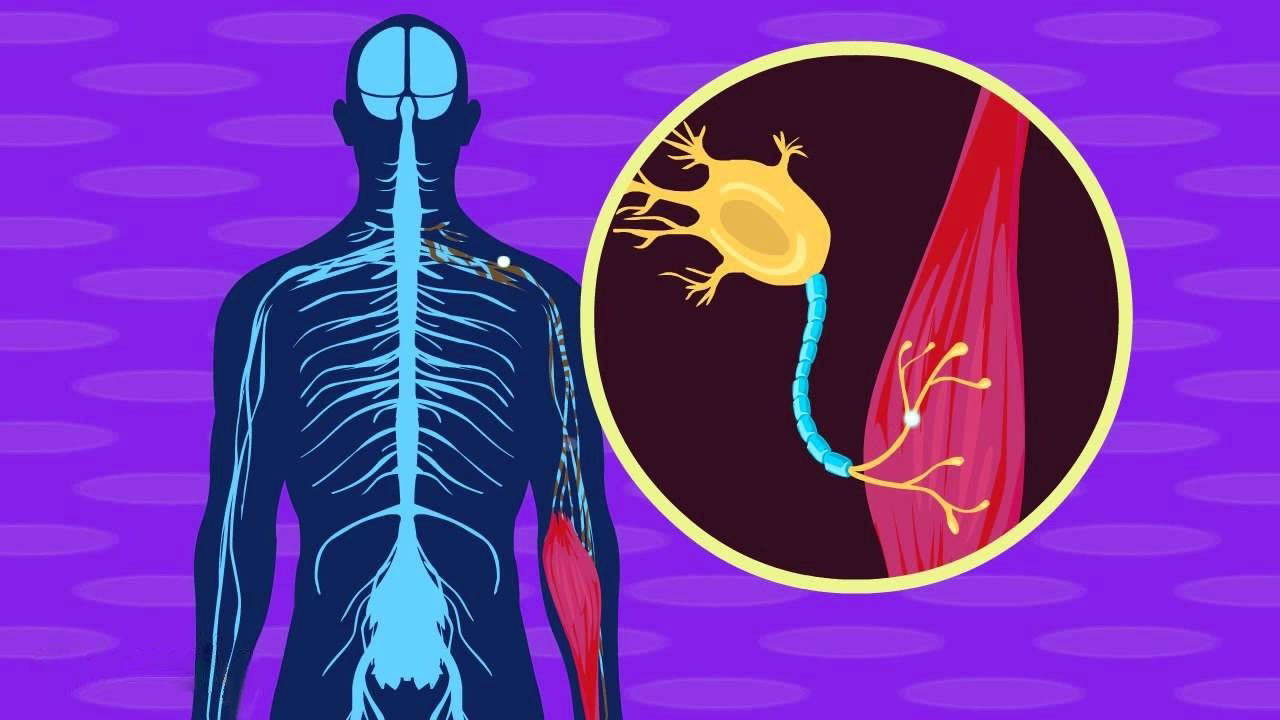 MIT'den tıp dünyasında çığır açan keşif: Beyin hastalıklarının teşhisi 25 kat hızlanıyor