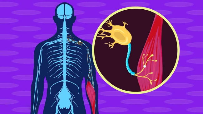 Beyin hastalıklarının teşhisi 25 kat hızlanıyor