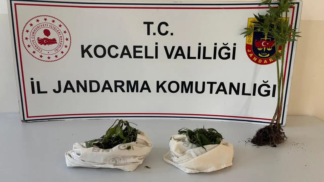 3 adrese baskın yapıldı... Kocaeli'de 'uyuşturucu' operasyonu: Bin 12 uyuşturucu hap ele geçirildi