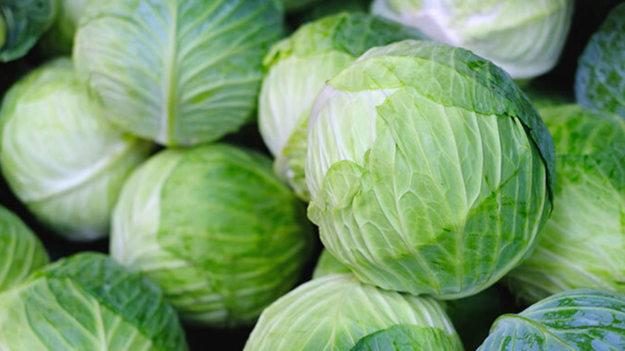 Gastronominin 2026’daki yol haritası