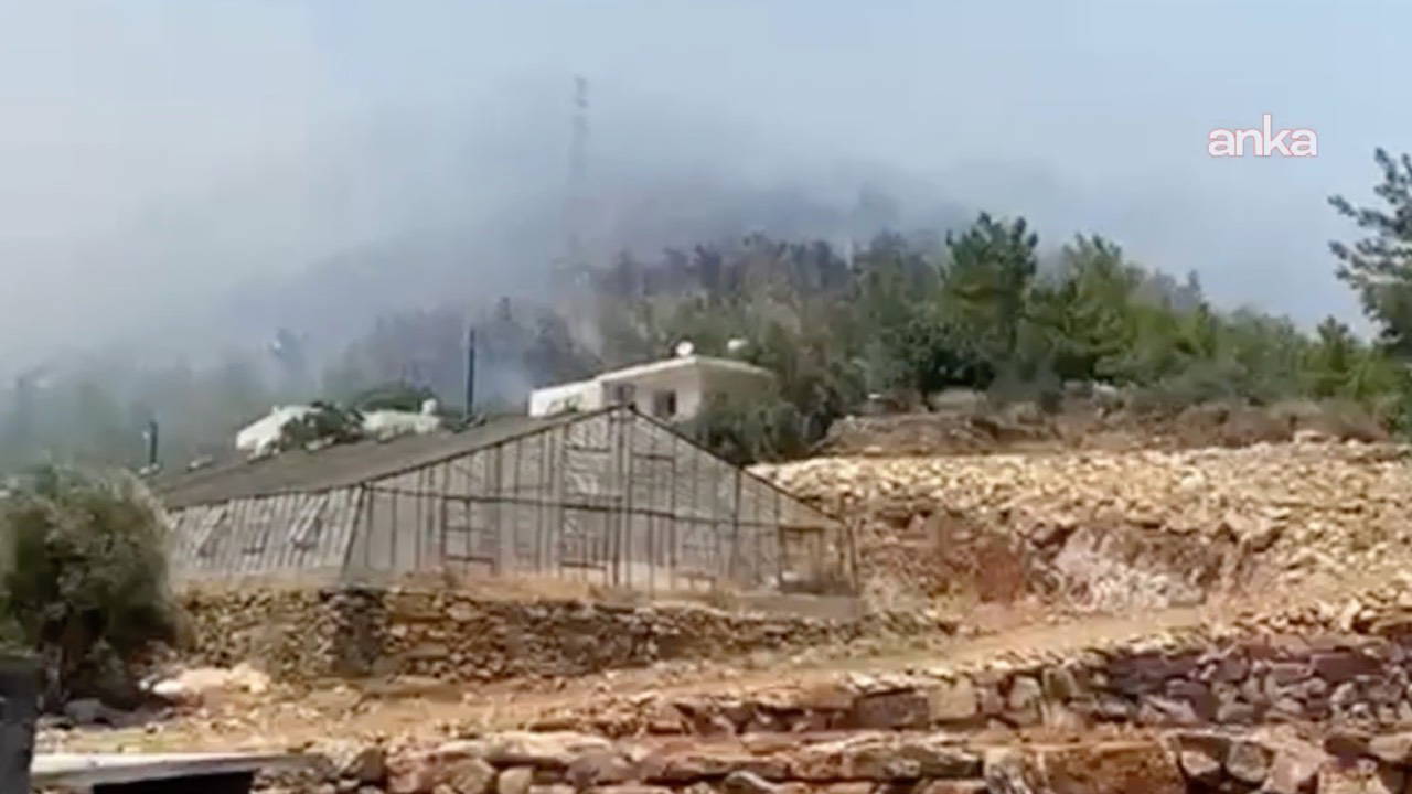 Mersin'de orman yangını: Yerleşim yerlerine yakın bölgede çıktı