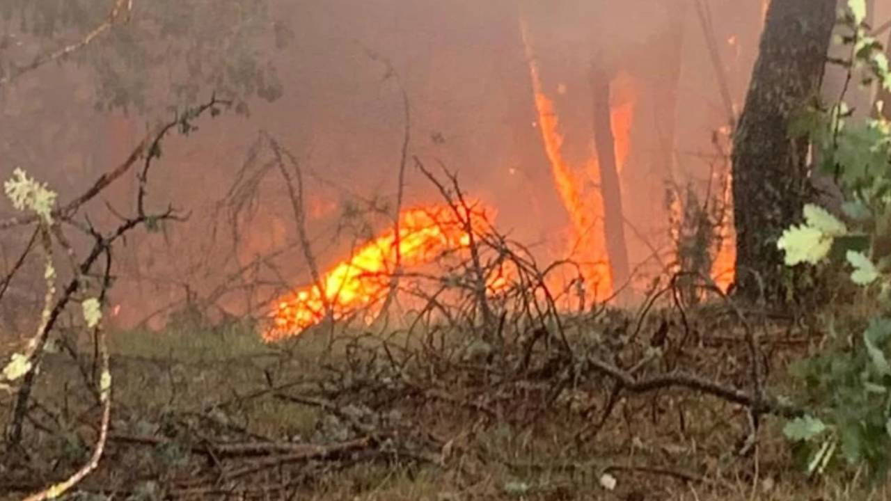 Karabük’te orman yangını… Örtü yangını ormana sıçradı!
