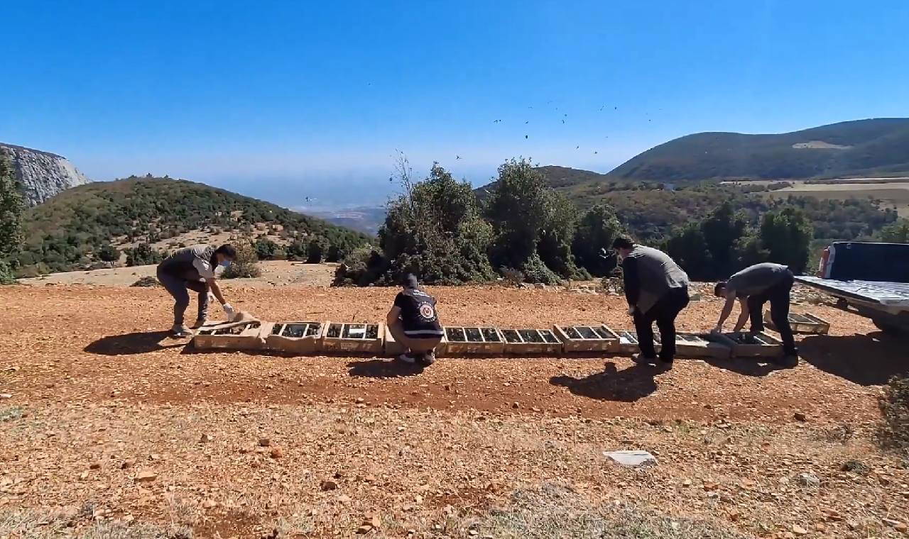 Saka kuşu kaçakçılığına milyonluk ceza!