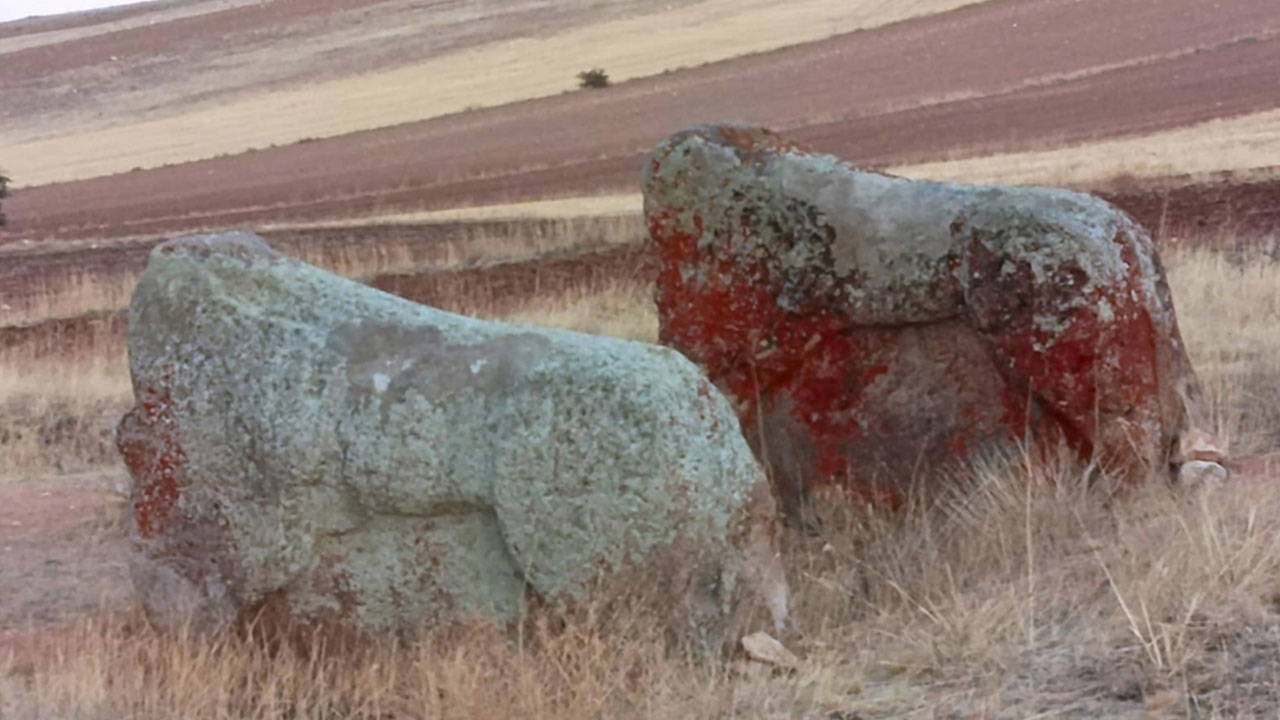 4 bin yıllık eserler için taşınma kararı: Belediye itiraz etti!