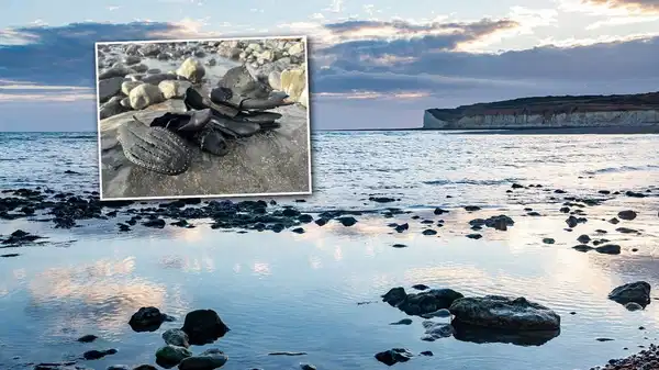 Sahilde 200 yıllık çizmeler gün yüzüne çıktı