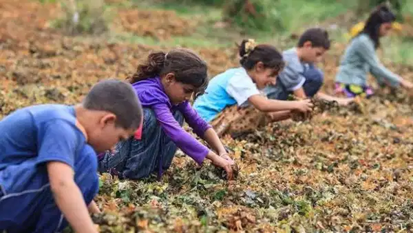 Yaz tatili ile ortaya çıkan gerçek:  Her iki çocuktan biri tatil yapamıyor