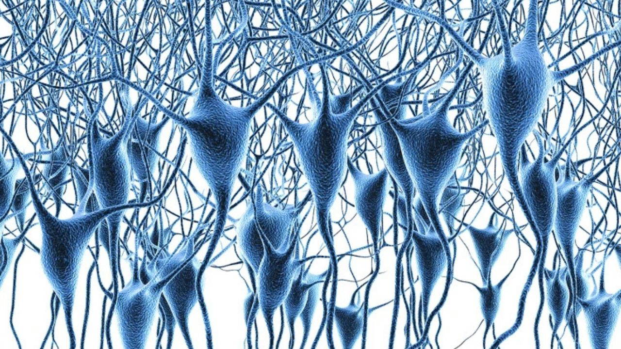 İnsan beyninin dev gen haritası çıkarıldı: 6 milyon beyin hücresi haritalandırıldı, Alzheimer ve demansın şifresi çözüldü