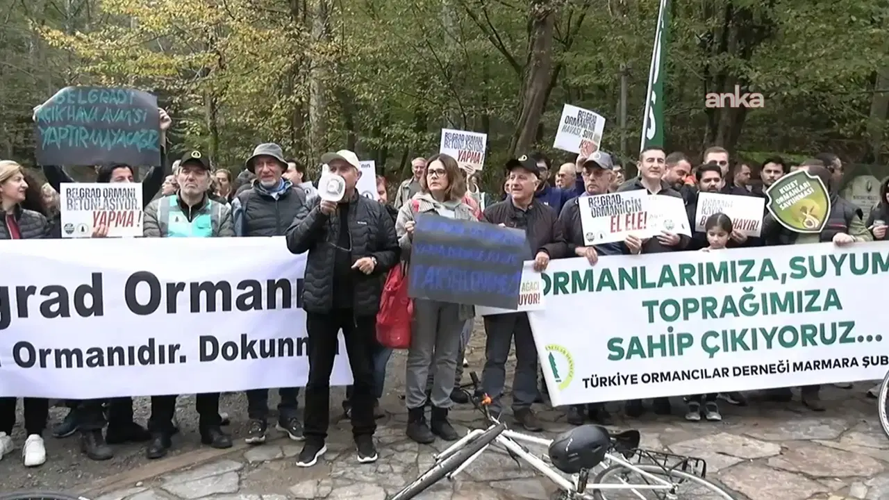 Belgrad Ormanı için yürüdüler: '1 milyon hektar alan ormancılık dışı kullanıma açıldı'