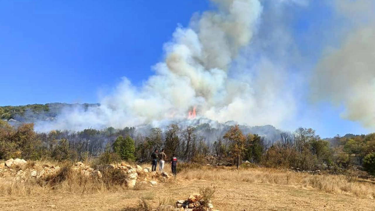 Burdur'da orman yangını