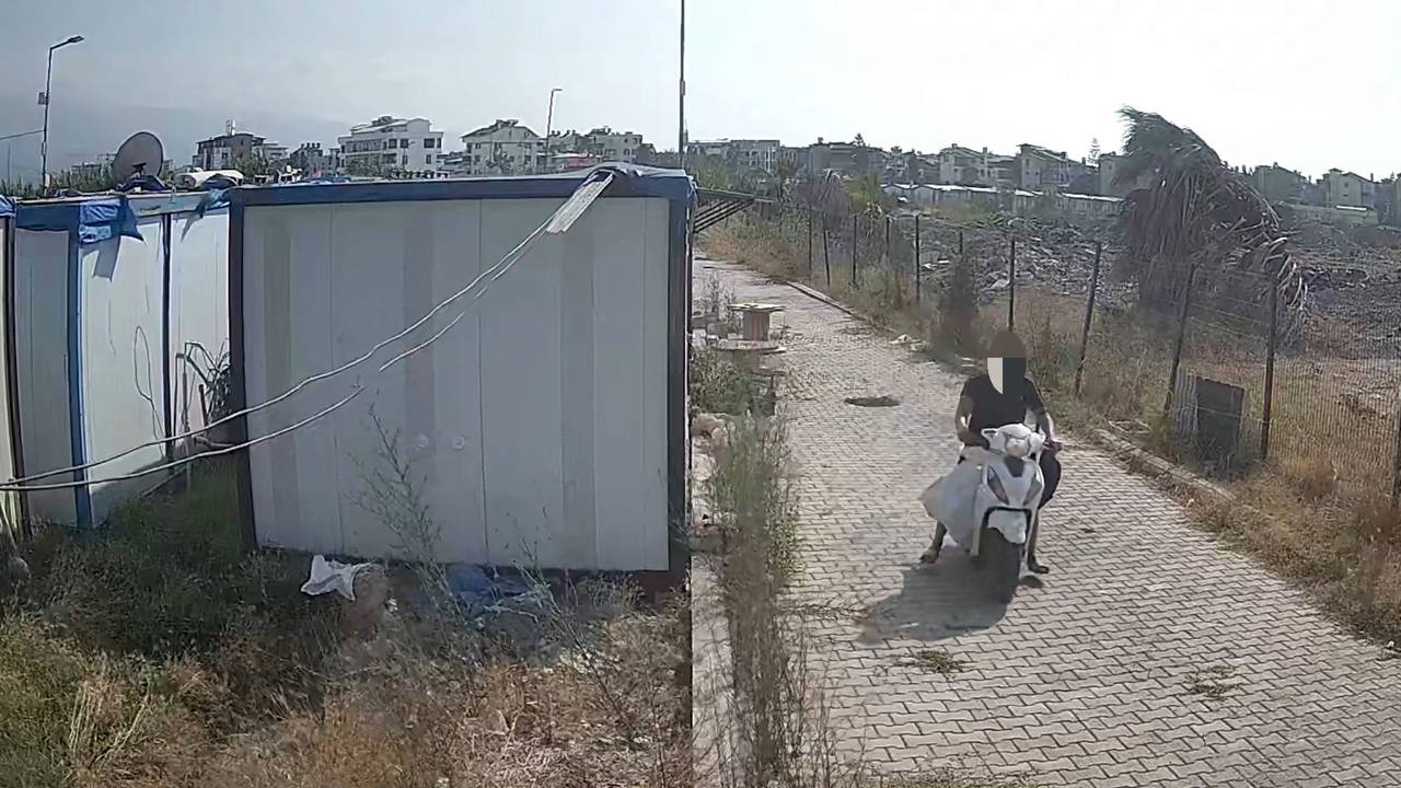 Hatay'da pes dedirten hırsızlık: Konteyner kenti soydular!