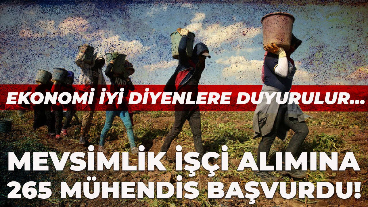 Kurs Der Elazığ Şube Başkanı Aksu: '265 mühendis mevsimlik işçi olmak için başvurdu'