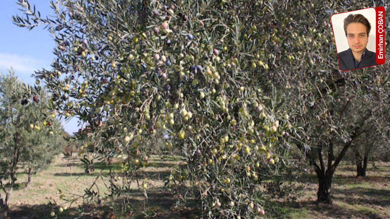 Taşıma planı riskli