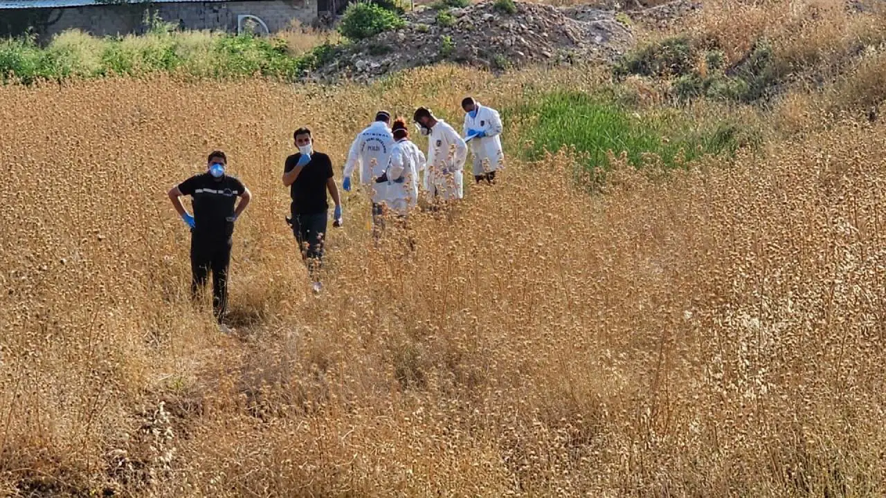 Şanlıurfa’da tarlada erkek cesedi bulundu