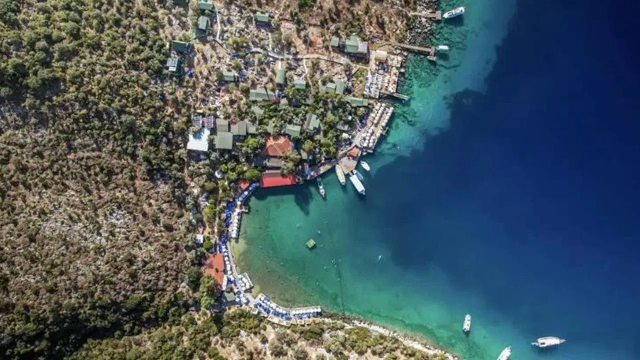 Koruma statülerine rağmen talanın ‘yol’u açılıyor