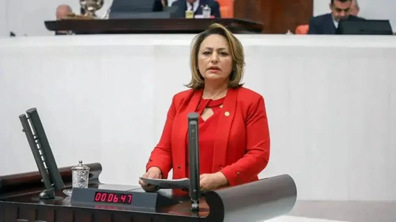 CHP'li Şevkin: 7 bine yakın jeoloji ve jeofizik mühendisi işsiz kalacak