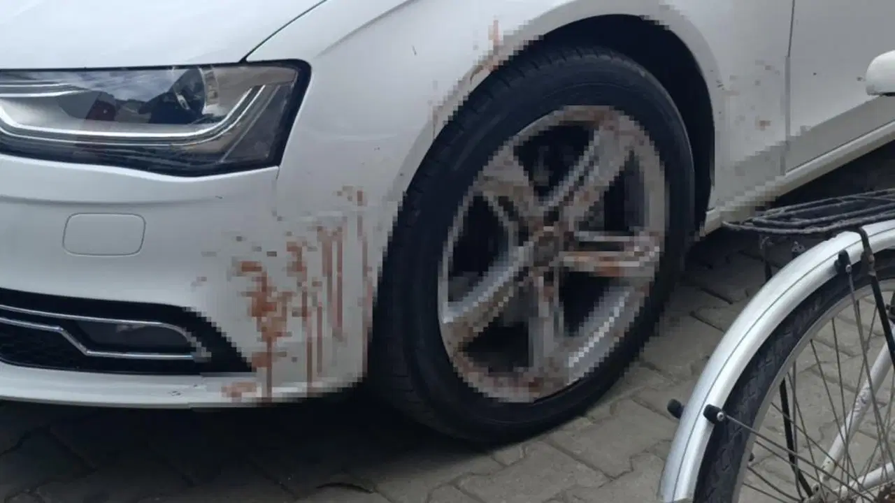'Araçta kan var’ ihbar polisi alarma geçirdi, otomobil için kesilen adağın kanı çıktı!