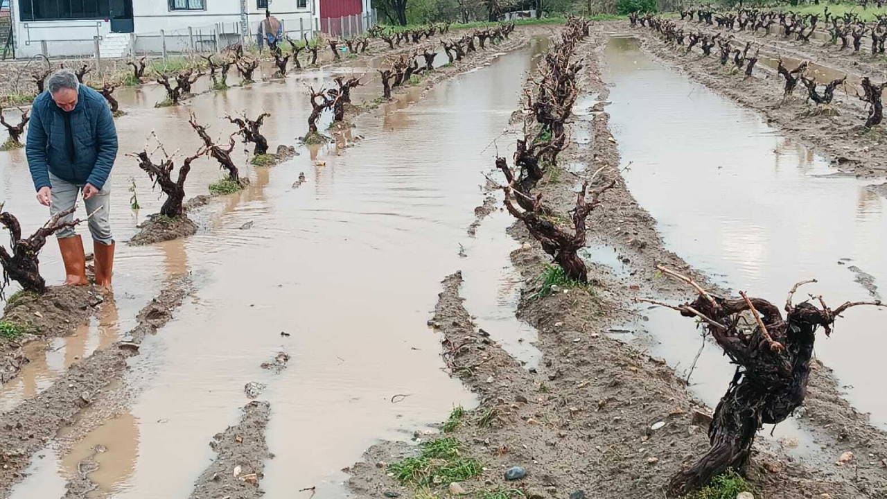 Elazığ'da dolu tarımsal alanlara zarar verdi