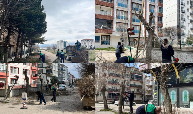 Kahramankazan'da ağaç budama çalışmaları sürüyor