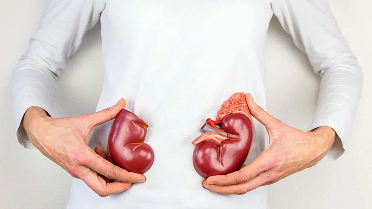 Yıllarca yanlış teşhis kurbanı oldu, çareyi 'kendi organının naklinde' buldu