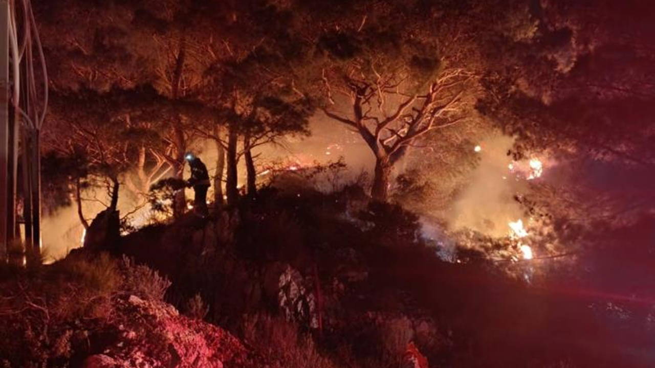 Bodrum’da ormanlık alanda yangın: 2 dönüm alan zarar gördü