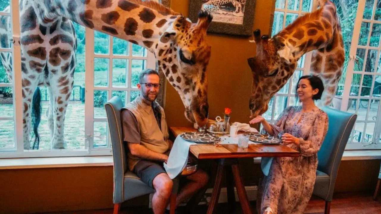 Bir tabak yemekten fazlası: Dünyanın en ilginç 7 restoranı