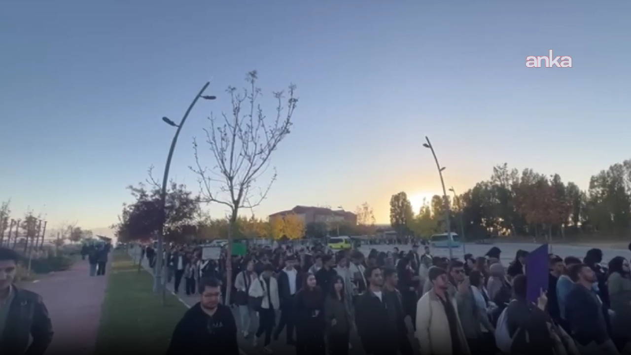 Van Yüzüncü Yıl Üniversitesi öğrencilerinden 'Rojin Kabaiş' eylemi 