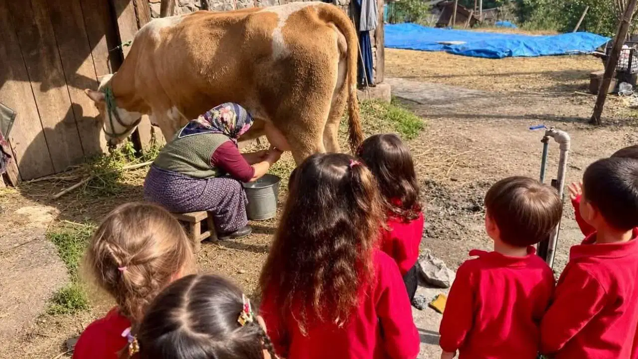 Küçük Çiftçi Mirası: Anaokulu Öğrencileri Sütünün Gizemini Çözüyor