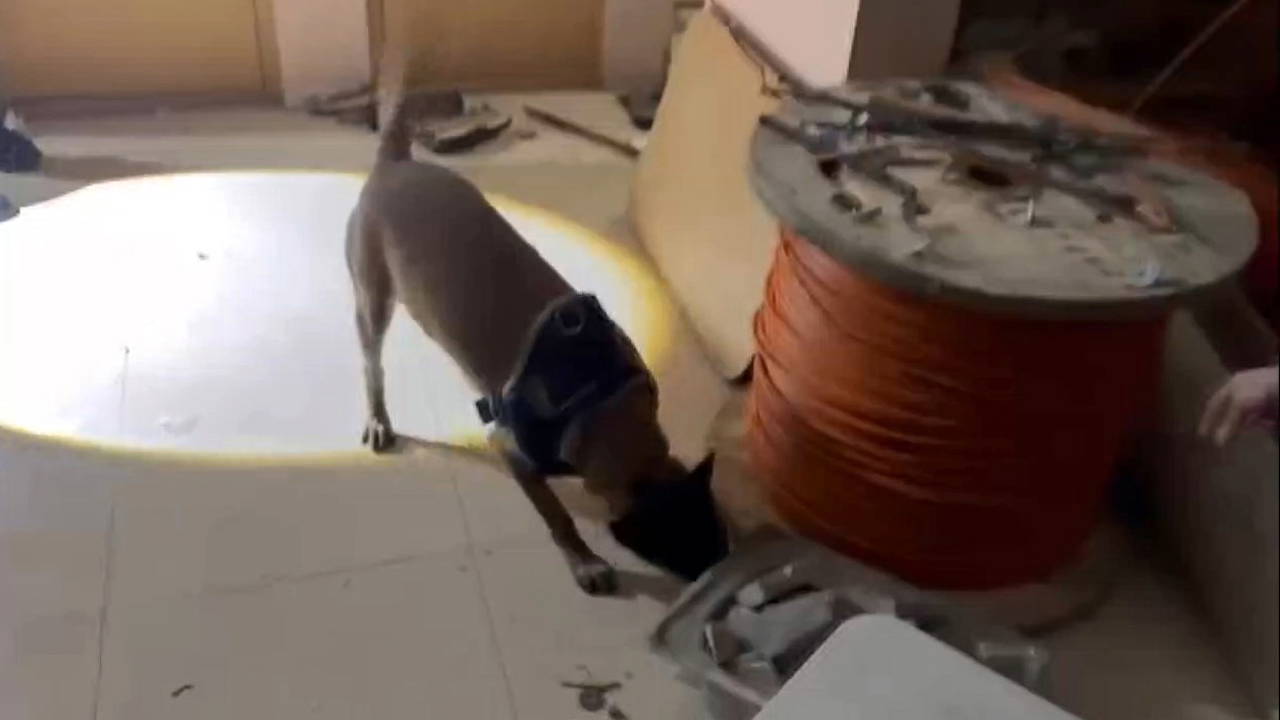 Avcılar'da 'uyuşturucu' operasyonu: Tam 50 kilo ele geçirildi...