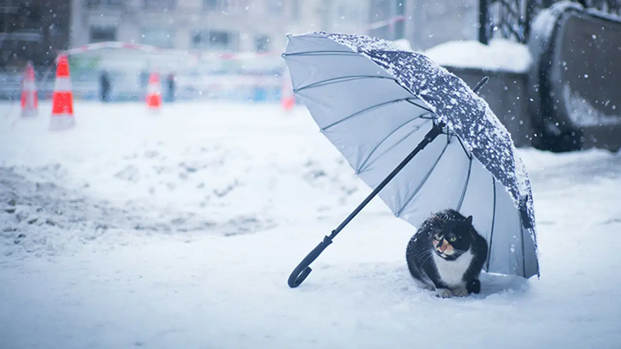 Bu kış kar yağacak mı?